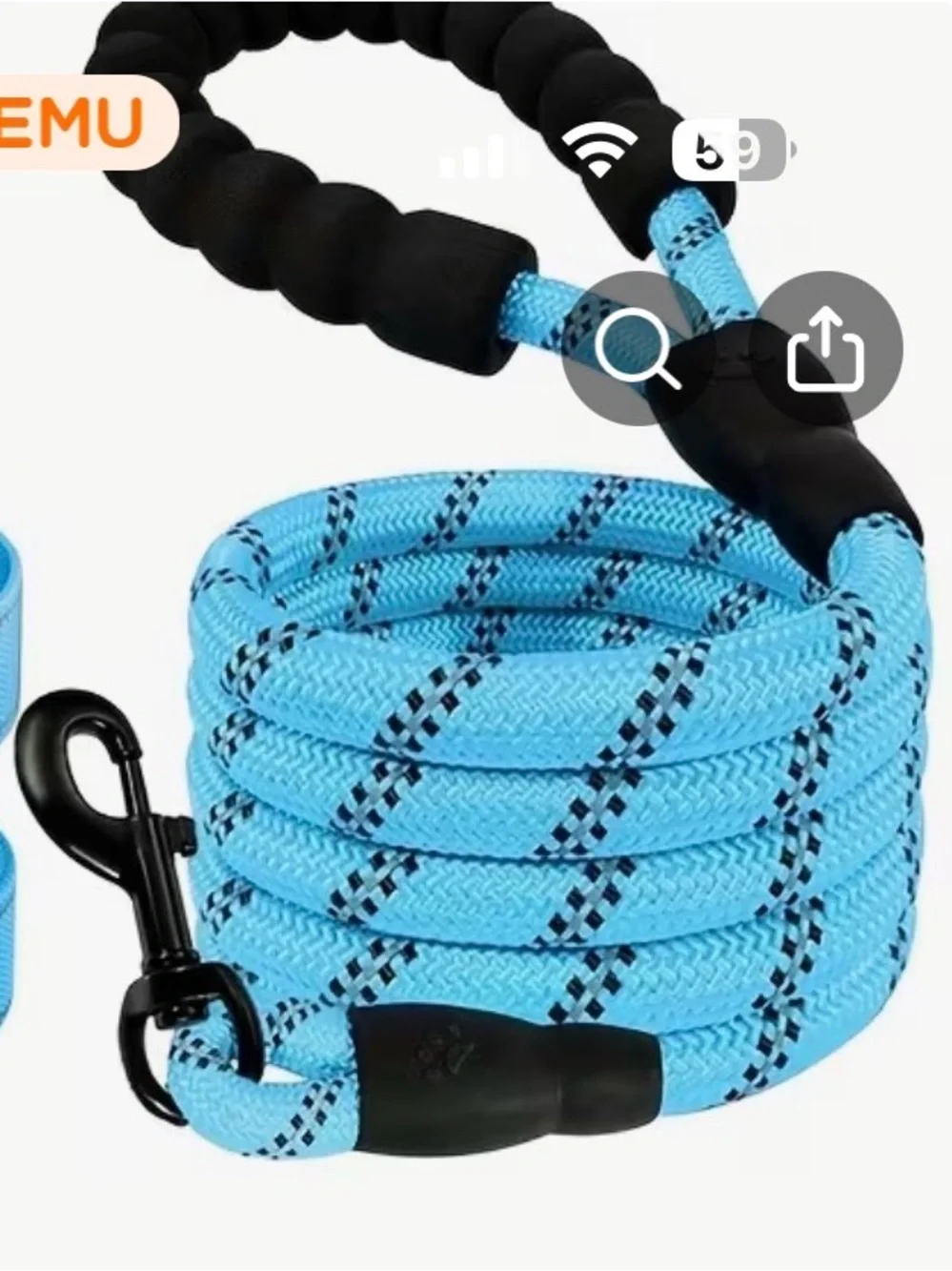 Hands-Free Reflective Dog Leash with Waist Belt - Green